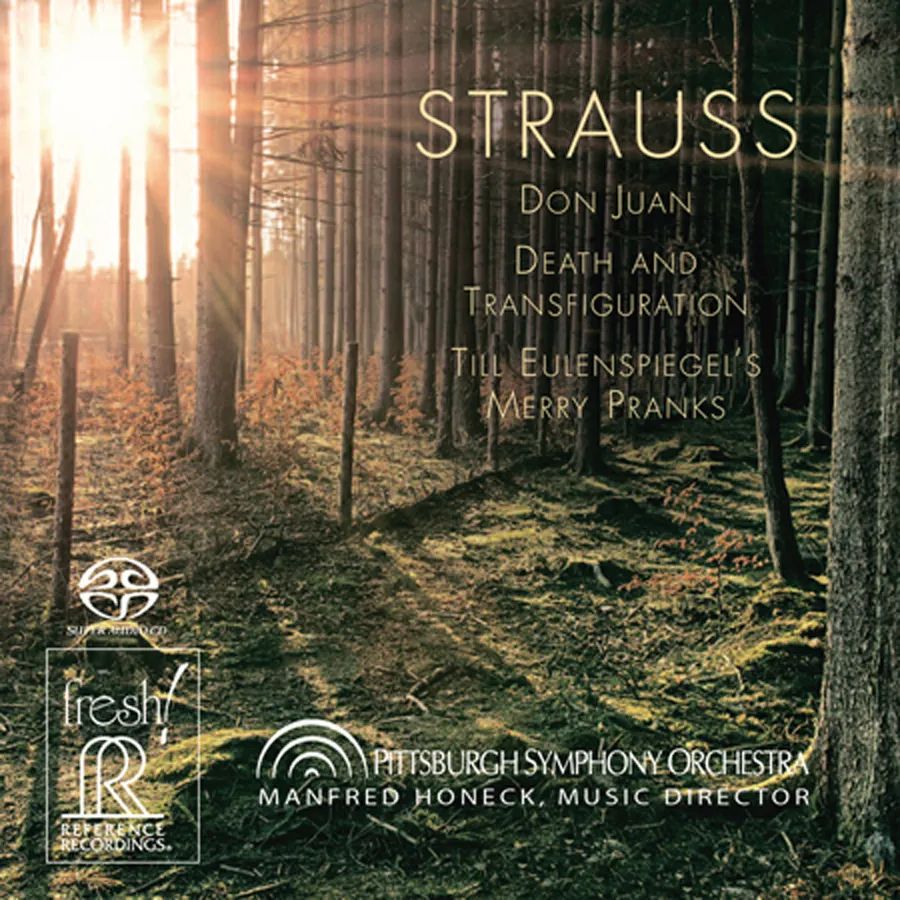 rr音详细教学,rr输出声音