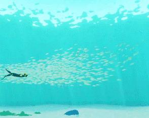 推荐唯美治愈游戏,治愈游戏画风唯美