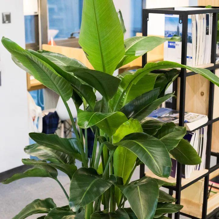 高空自习室深圳,深圳高空自习室