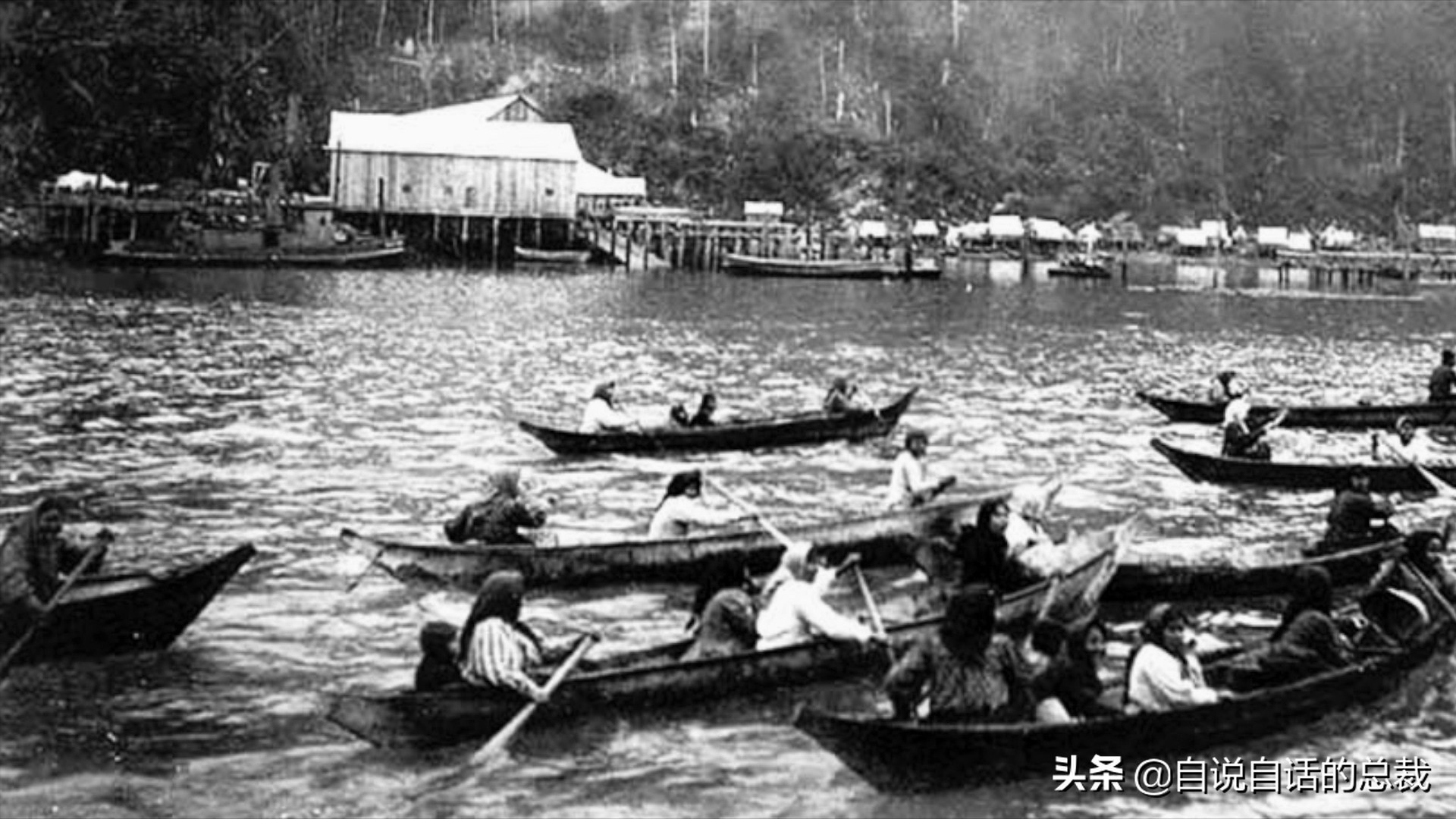 蛤、蚶、蛏、蚝、蚬有什么区别？这是一群美味海怪与人类的故事