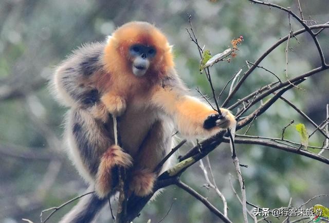 世界最大峡谷,云南最大的峡谷怒江大峡谷