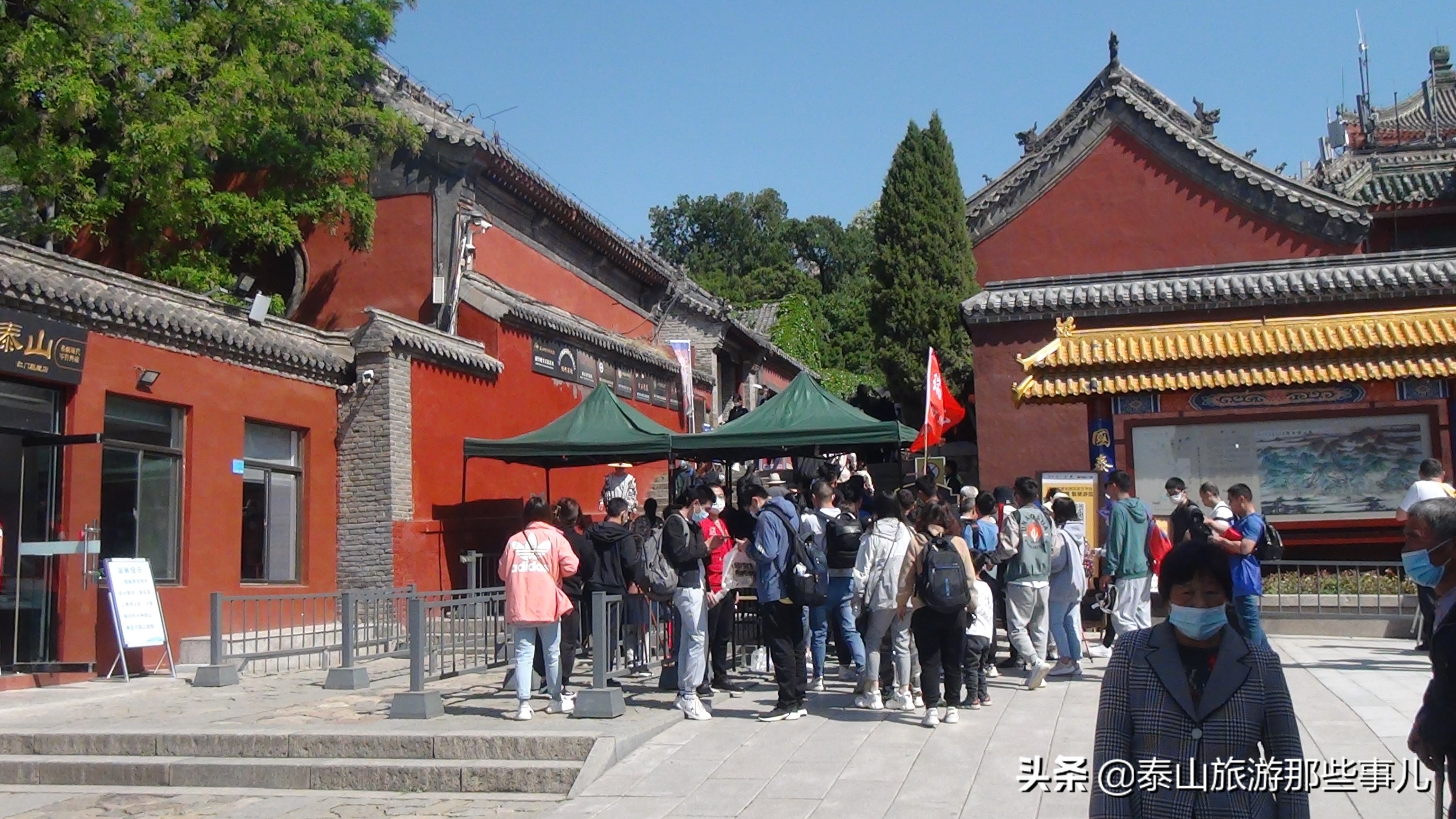 安泰集团2019年销售数据,安泰年营业额