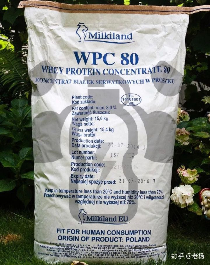 普通健身者吃什么蛋白粉,健身吃煮蛋还是蛋白粉