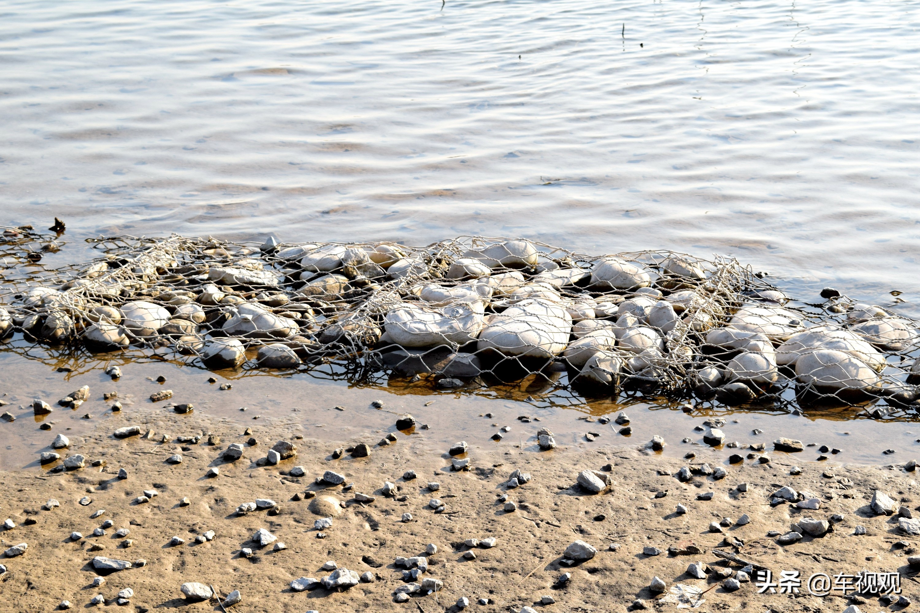 飞度车主换奥德赛习惯吗,全新飞度顶配版动力