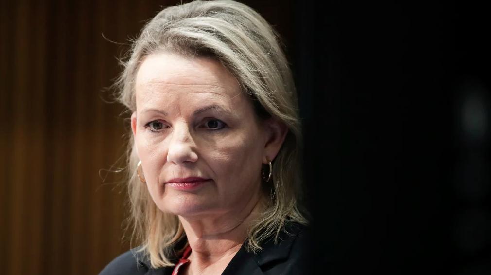 澳洲女子天价鳄鱼皮包被海关销毁，涉及到野生动物，海淘也要小心