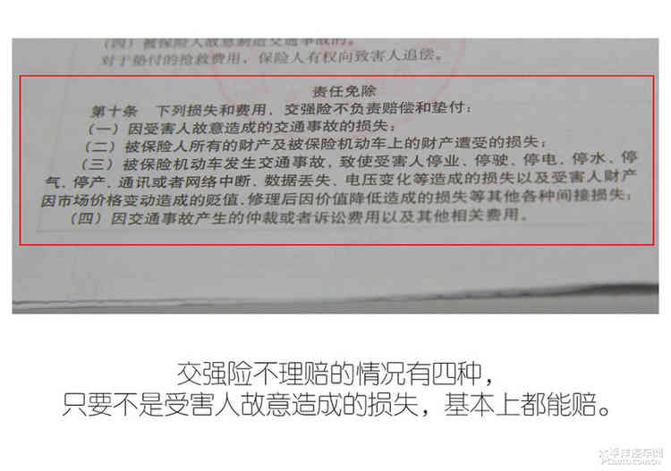 避之唯恐不及车撞死狗后该如何处理？