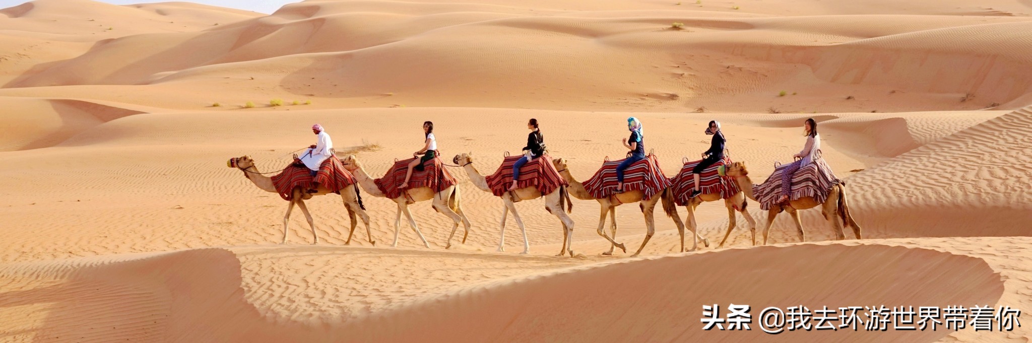 霸气的外貌下有个温柔的内心,霸气的背后隐藏着温柔和可爱