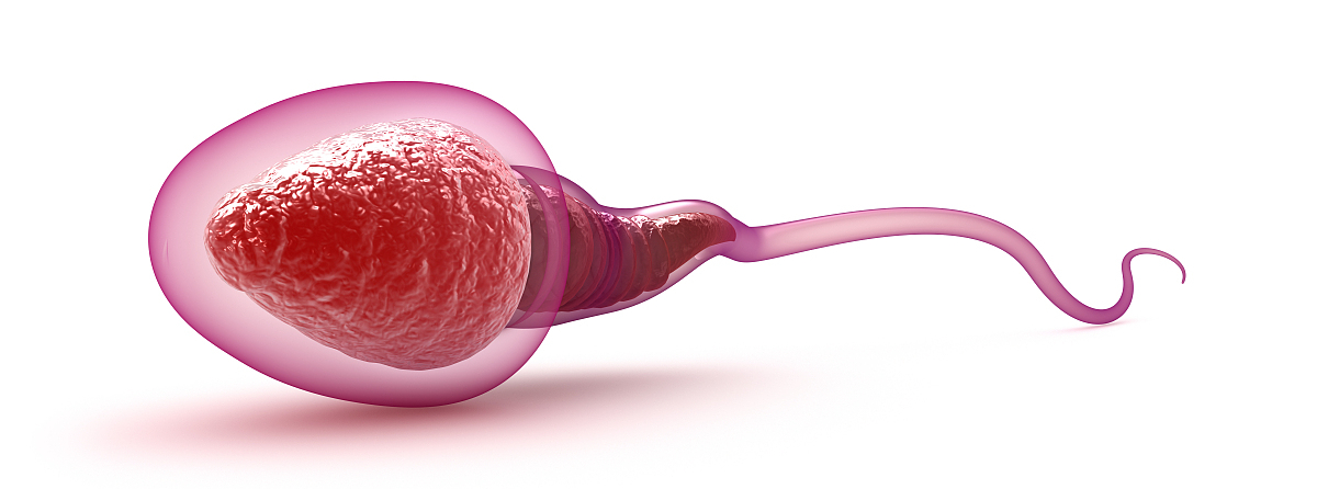 显微取出的精子是不动的吗,医院检查精子只有20个