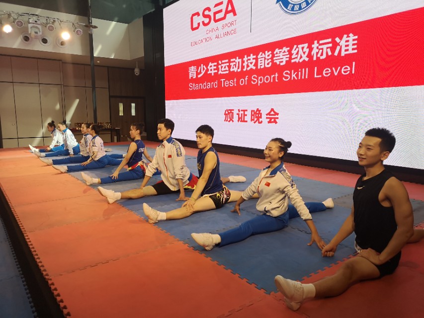 辽宁省健美操等级标准,辽宁省青少年健美操运动技能等级