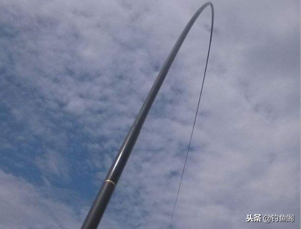 各种鱼竿怎么选,如何选择合适的鱼竿