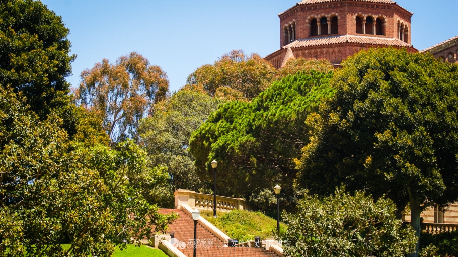 美国加州大学ucla录取条件,ucla加州大学洛杉矶分校女篮