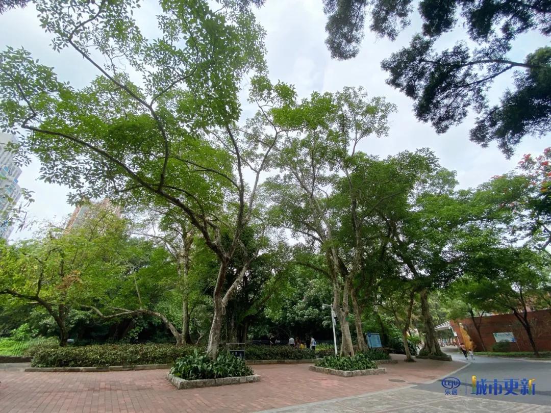 广州动物园什么时候搬迁,广州动物园搬迁