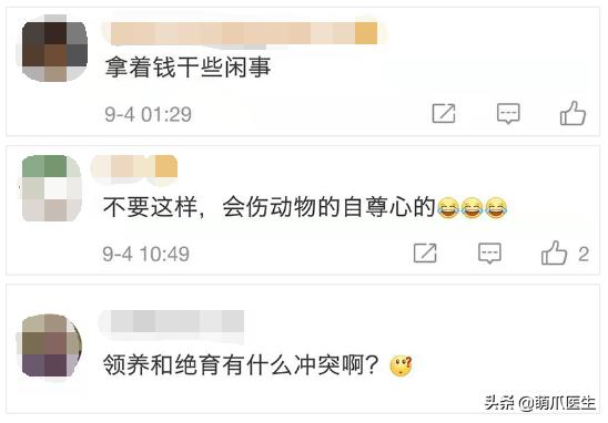 物业给小区流浪猫绝育视频,业主凑20万给流浪猫绝育