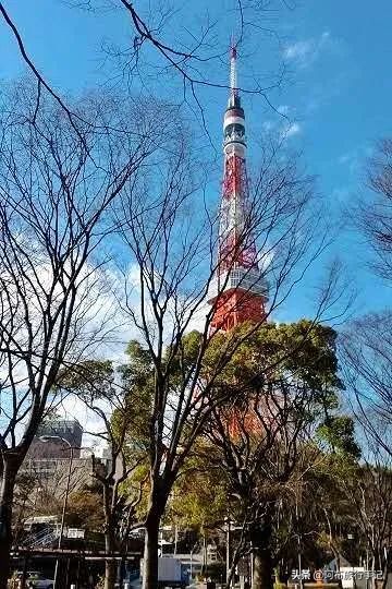 路过东京：钱多闲多兴趣多，找座城消磨时光，选它就对了