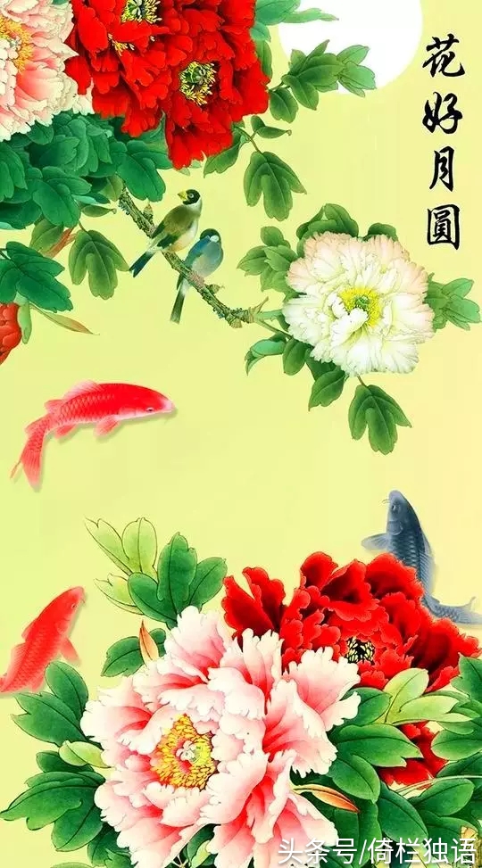 2019年精美挂历送给朋友，简直太美了！一定要收藏在手机里