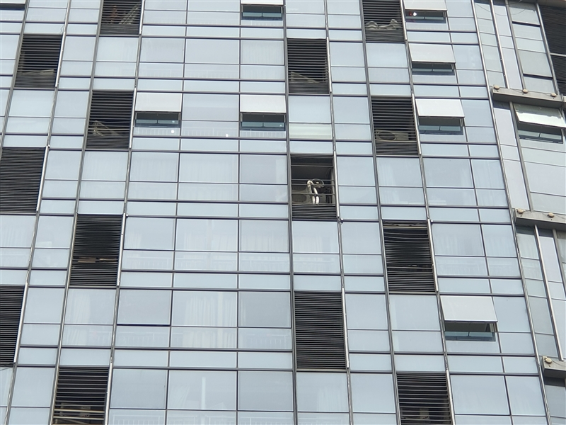 realmex290hz,realmex2与realmex2pro比较