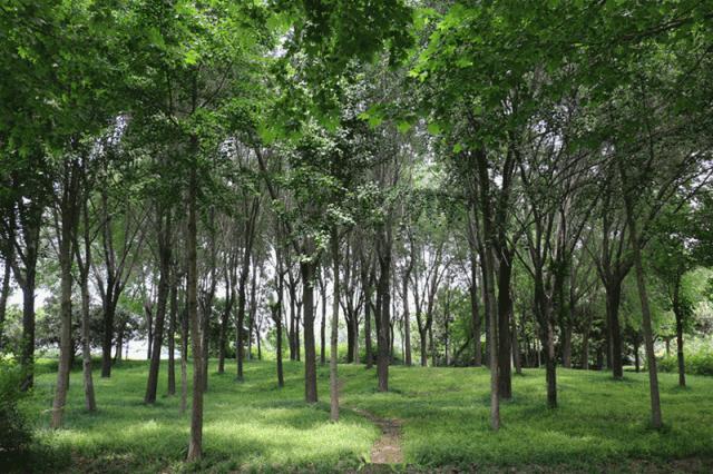 现在的郑州有多美,原来郑州这么美2018