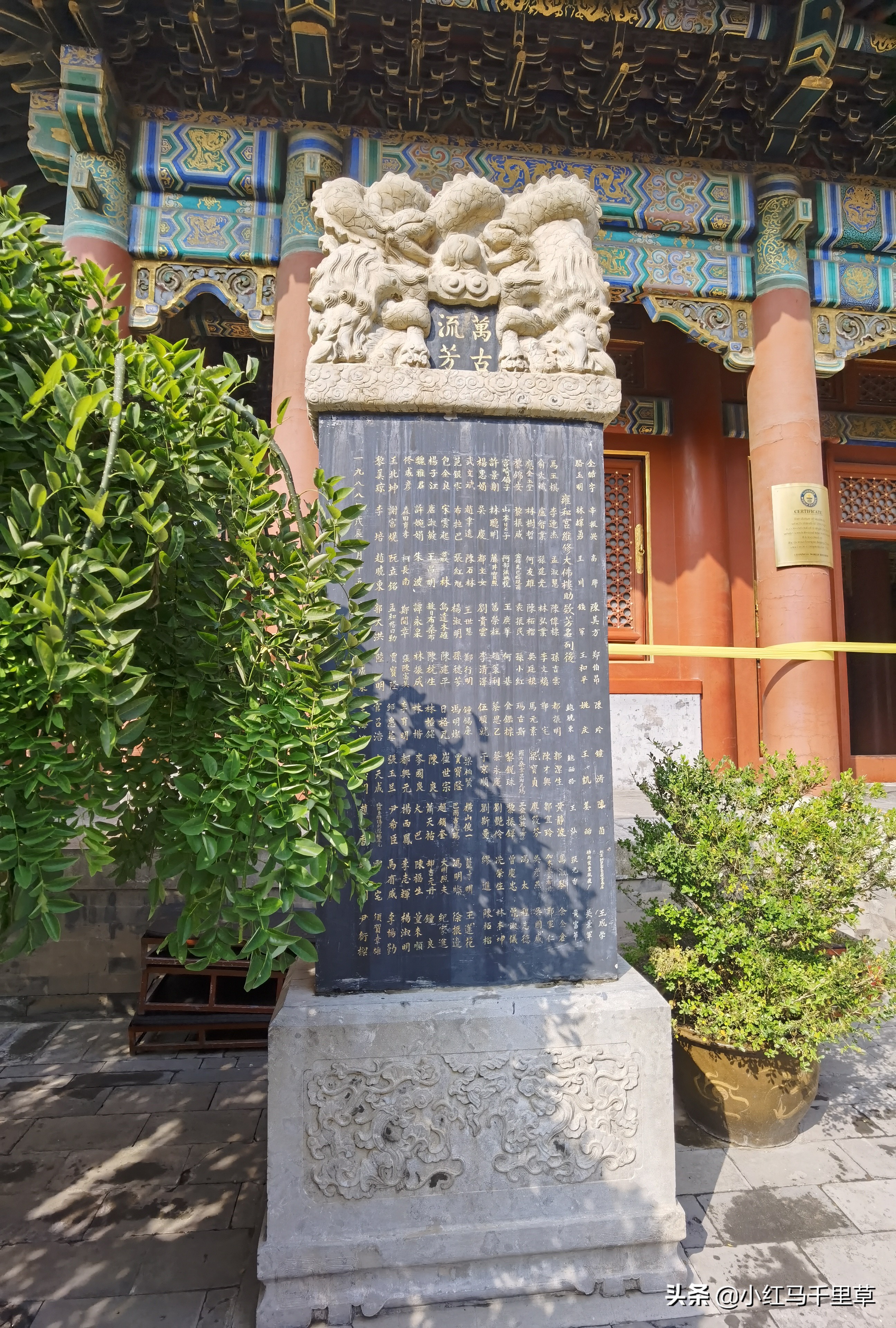 雍和宫游览记,北京行记