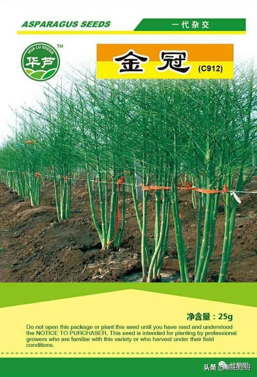 疫路有爱：最美芦笋姐刘海燕叫响鹤壁芦笋品牌