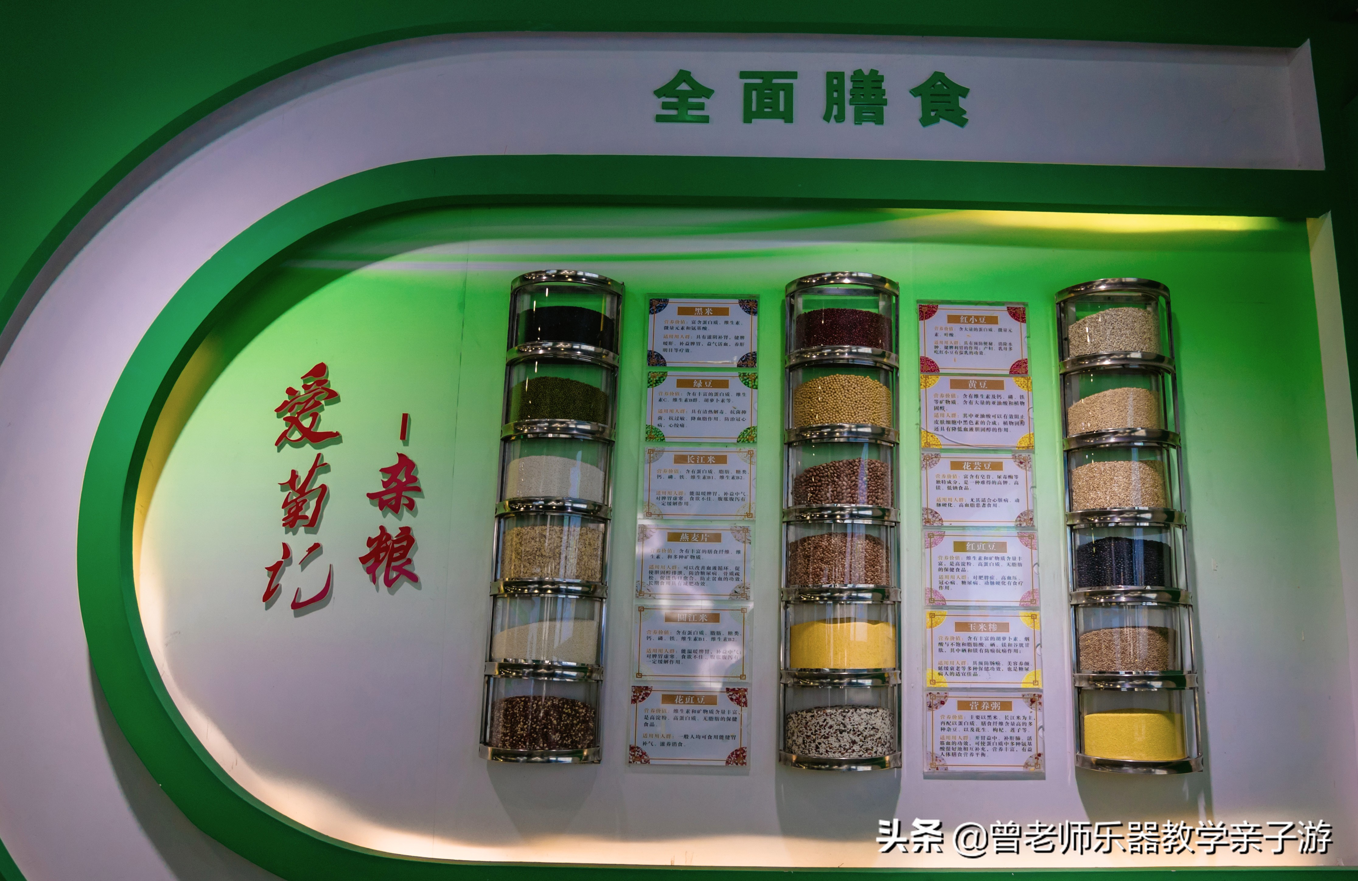 爱菊研学游,爱菊丝路文化菊花园西安