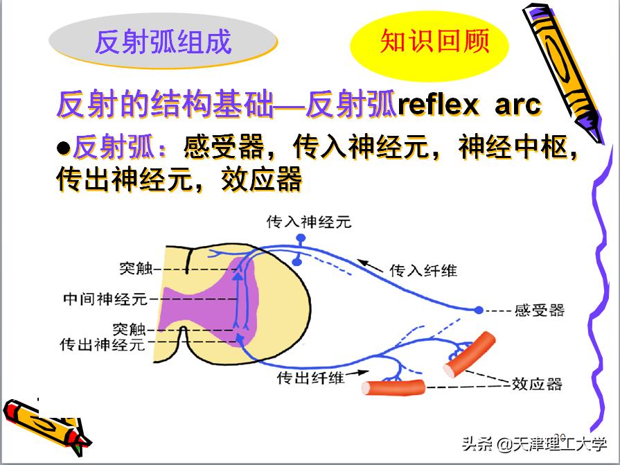 鍖栧鍖栧伐瀛﹂櫌闄㈣澶у叏,鍖栧鍖栧伐瀛﹂櫌瀛﹂