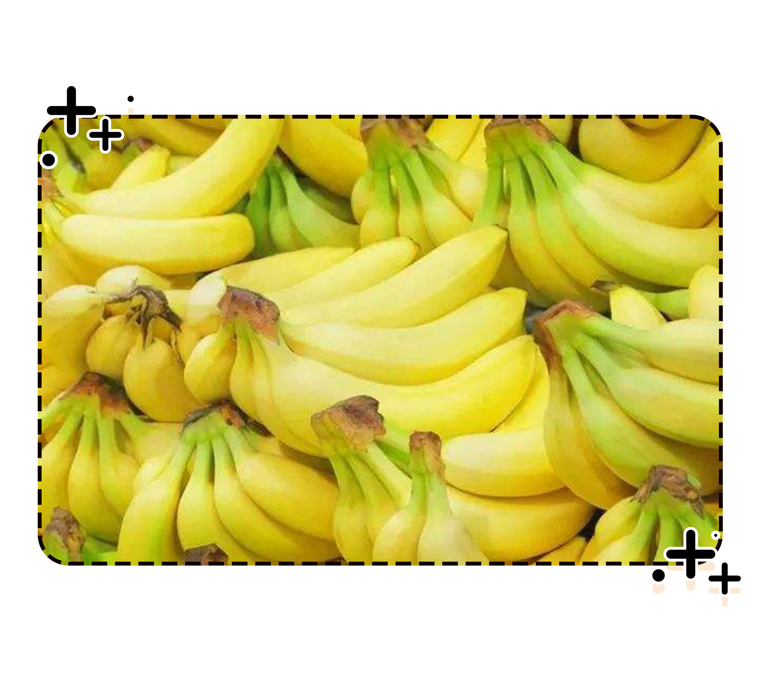 荔枝控们有多疯狂？为了阻止荔枝“自杀”费尽心机（菲李漫画）