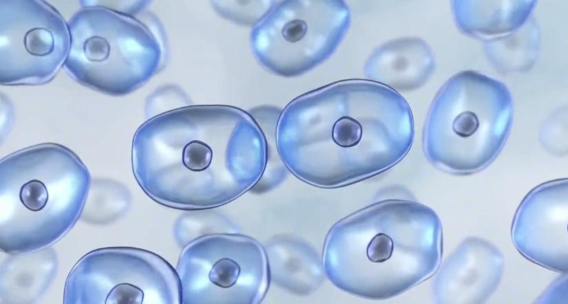 为什么有人说水是最神奇的,为什么人不知道喝水