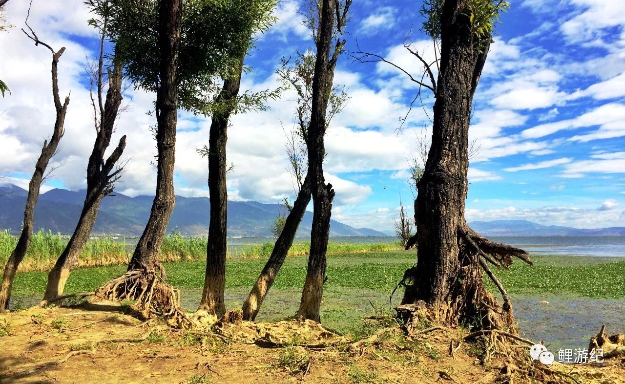 环海公路好看的图片,西南风景图片横图