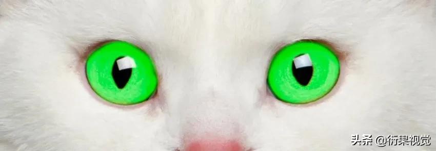 ps怎么把两只眼睛p成一样颜色,ps改图及抠图换背景颜色教程