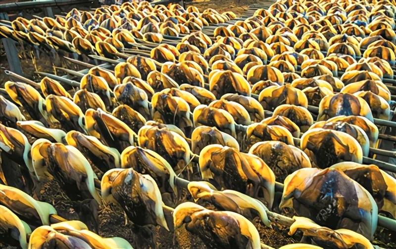 海南淡晒墨鱼干,晒的墨鱼干好吃吗