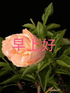 11.15,我把祝福送给你，幸福你每一秒，早晨好！