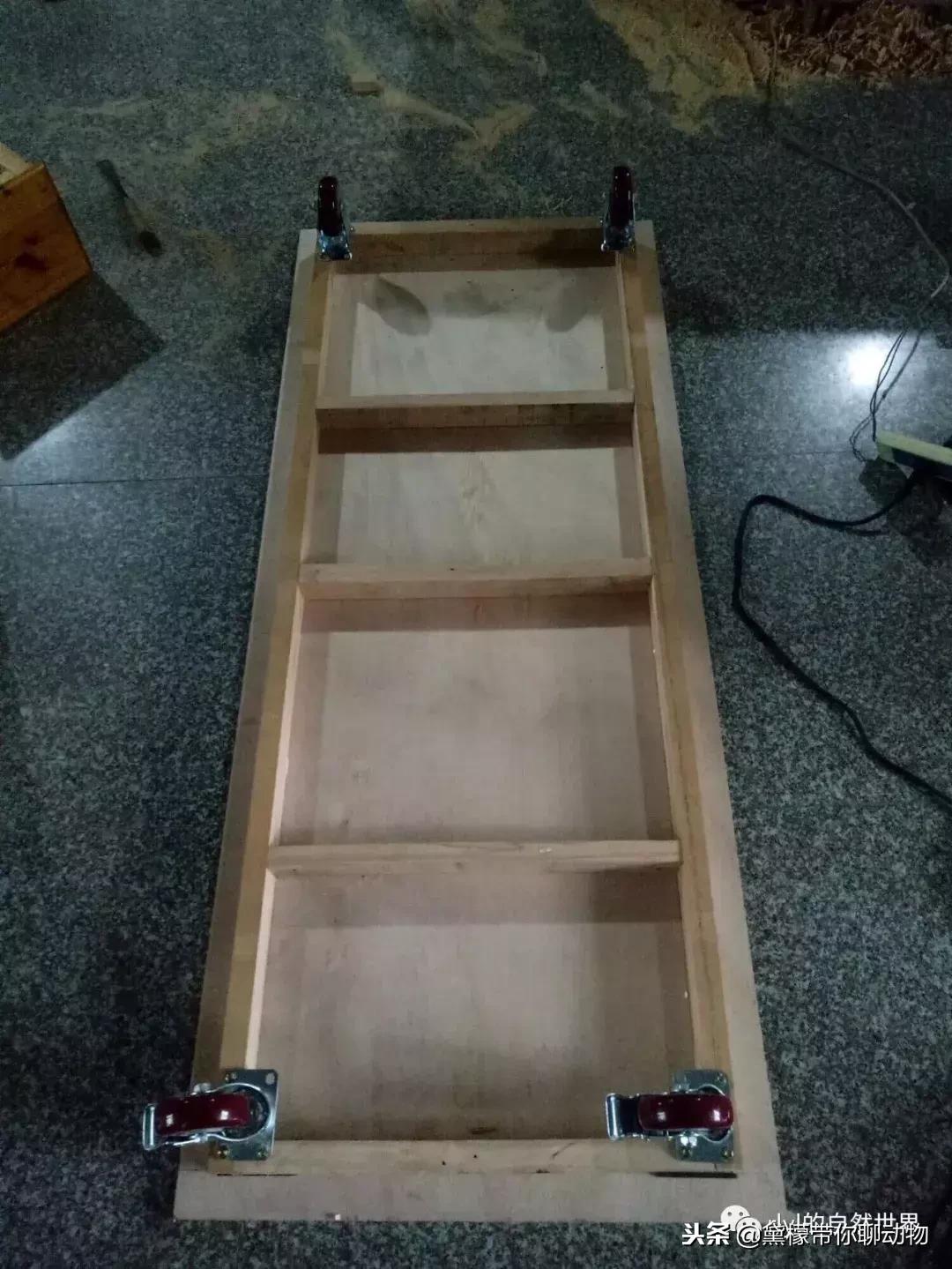 丛林造景黄缘龟池设计图大全,龟宝宝黄缘龟生态缸造景教程