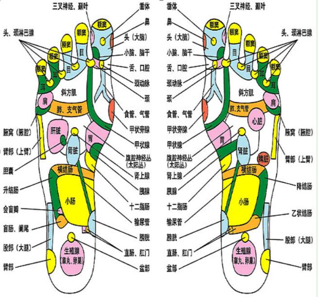 肩周炎发作了去按摩,肩周炎足疗反射区