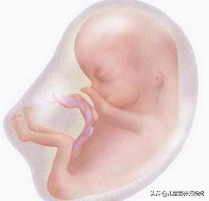 怀孕五个月胎动多少算正常,怀孕5个月平时胎动频繁今天不动