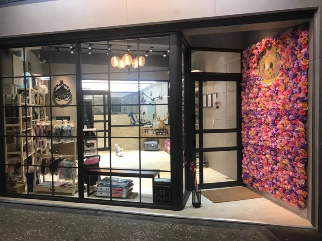 开宠物店要知道的宠物知识,宠物店前期卖哪些用品比较好