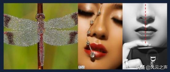 曹则贤算得上物理学家吗,张朝阳对话物理学家曹则贤