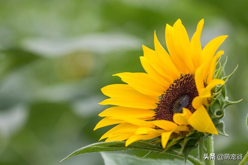 和不喜欢的同事出差住一起咋办,和异性同事一起出差该怎么办