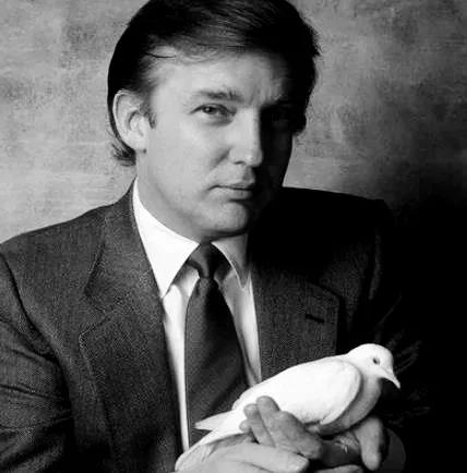 *男美**子特朗普,明明可以成为超级巨星,却误入歧途成为总统