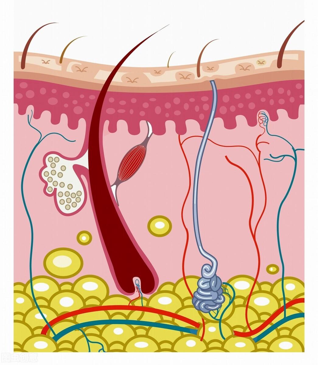 男士秋冬控油保湿推荐,男士保湿控油产品简单好用