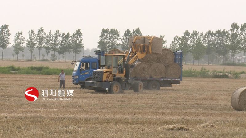 泗阳县农业产业,农业农村局秸秆综合利用实施方案