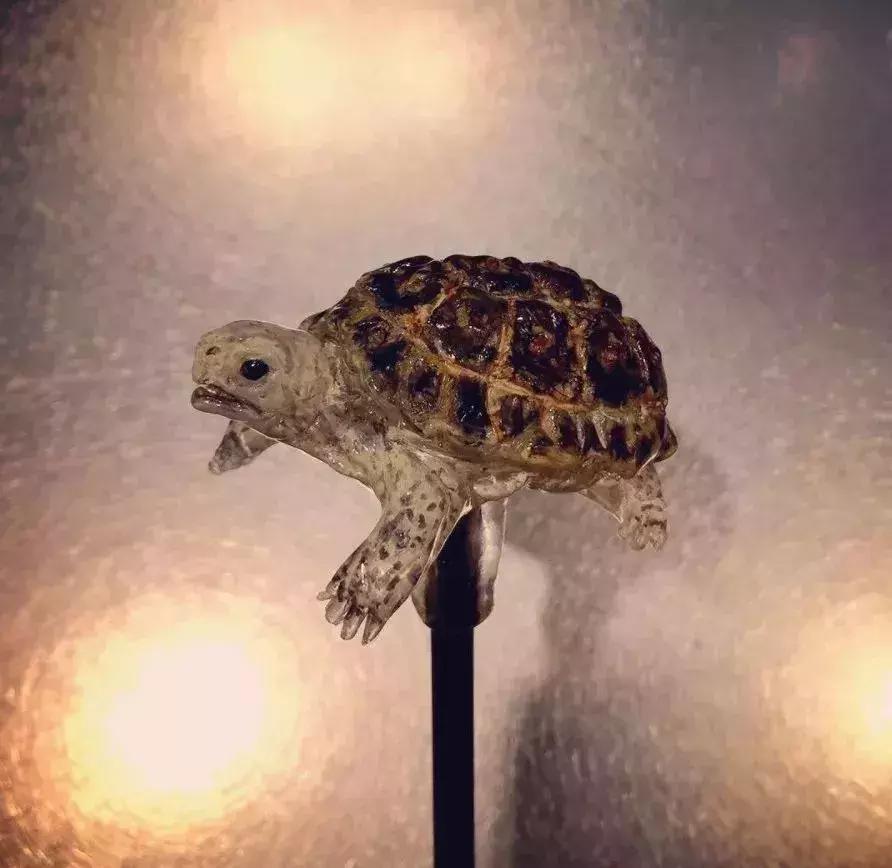 21岁日本小伙立志复兴糖艺制作，5分钟捏出金鱼熊猫，你舍得吃吗