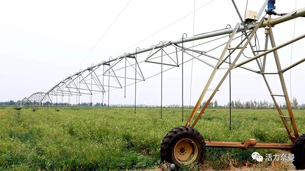 45万奈曼人的名片,太漂亮了!除了中华麦饭石你还知多少?