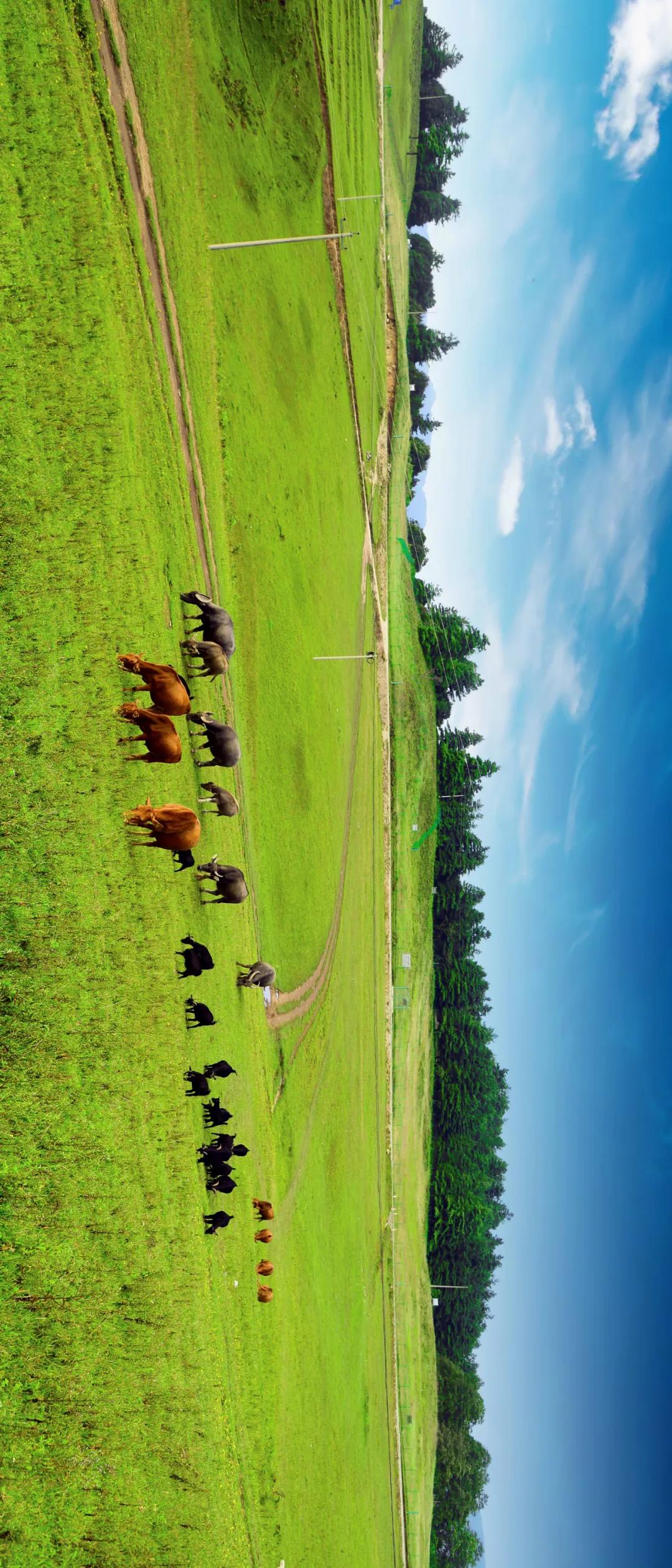 保山有魅力的地方,云南保山有多迷人