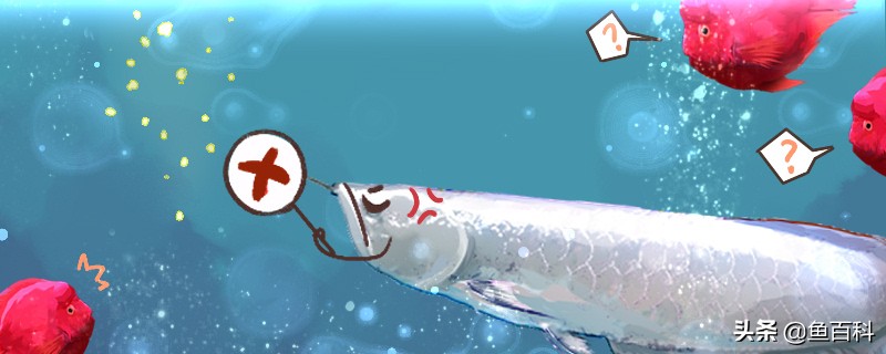 水霉病盐和孔雀石绿可以同时用吗,很严重的水霉病孔雀石绿能治疗吗