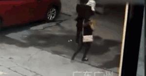 女子被天降大狗砸死,女子被天降大狗砸瘫获赔超百万