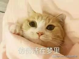 「曼达干货馆」你真的会切菜吗？赠你一本实用刀工秘籍（上篇）