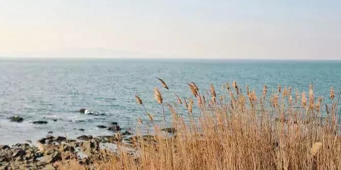 夏季海岛旅行地推荐,夏日海岛攻略