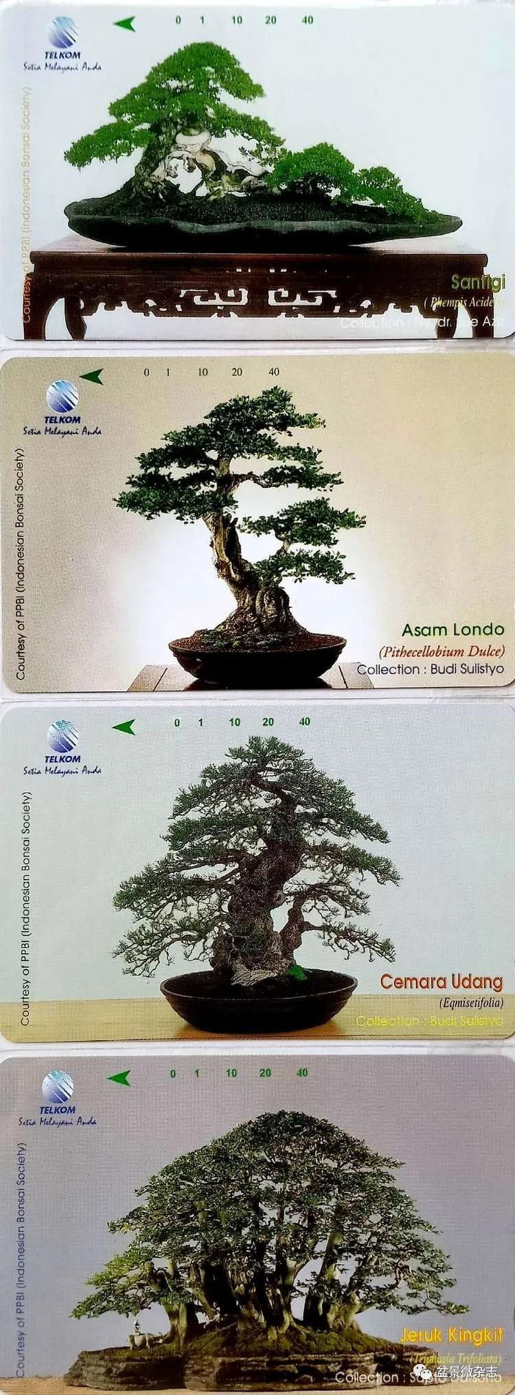 鐩嗘櫙鑱旂郴鐢佃瘽鍙风爜,涓鐩嗘櫙鑱旂郴鏂瑰紡