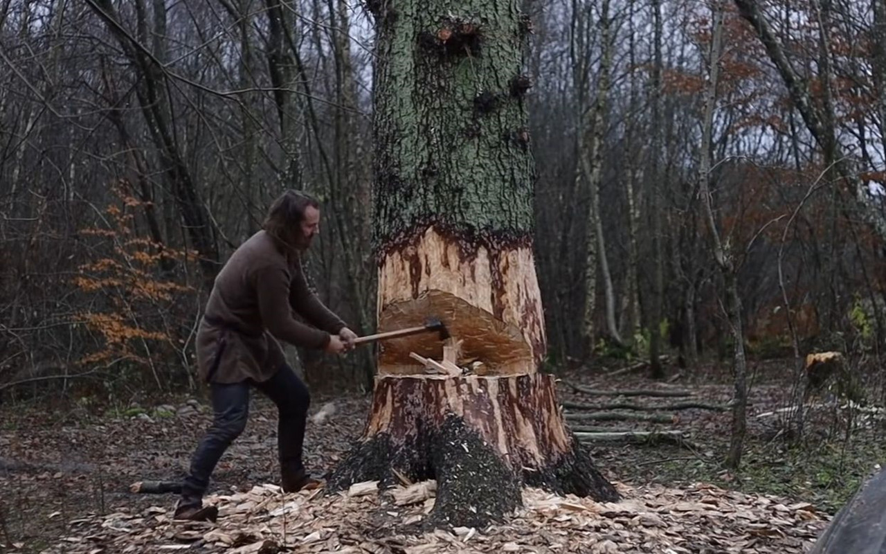 断子绝孙桉树,断子绝孙树为啥广西还大面积种植
