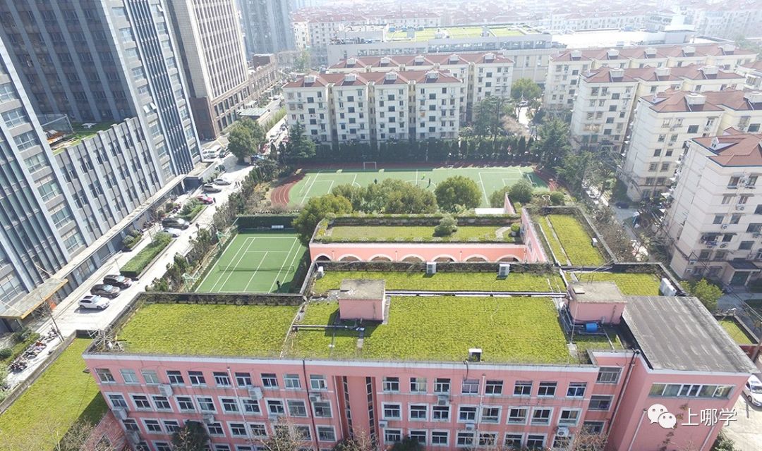 上海7所小学强势逆袭,上海最好的黑马小学